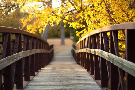 A serene wooden bridge stretches over a pathway, framed by vibrant autumn foliage, creating a captivating man-made landscape for HD desktop backgrounds.