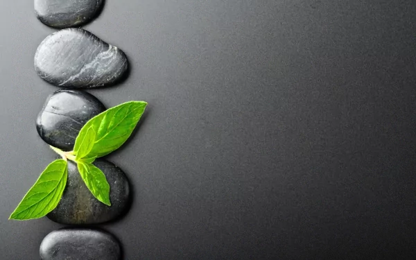 A serene image featuring smooth black stones and fresh green leaves, embodying a calming zen aesthetic. This HD desktop wallpaper evokes a sense of tranquility and spirituality.