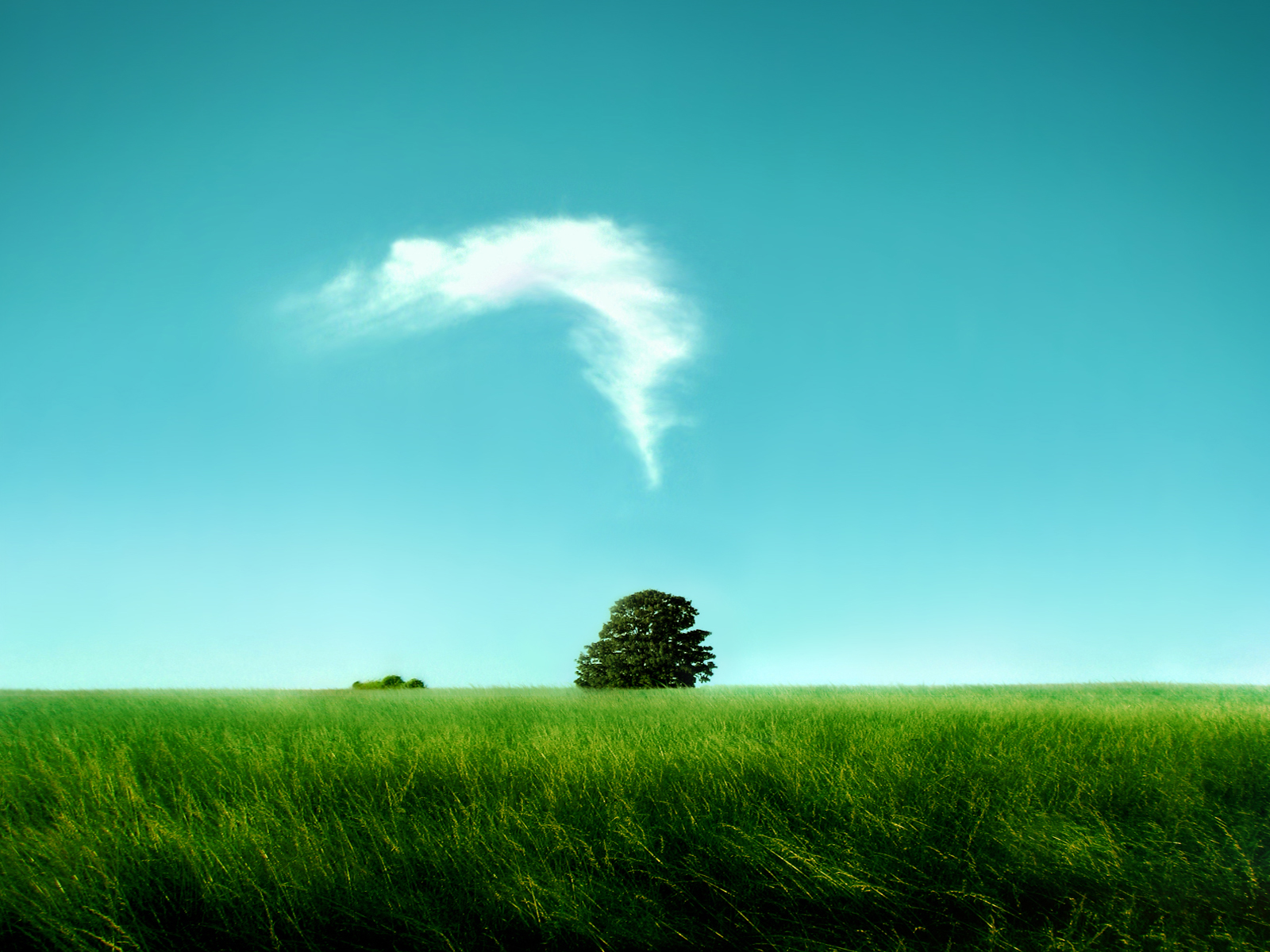 艺术风景壁纸and 背景 1600x10