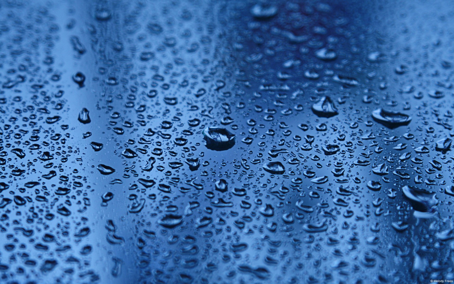 Water Drop Hd Wallpaper