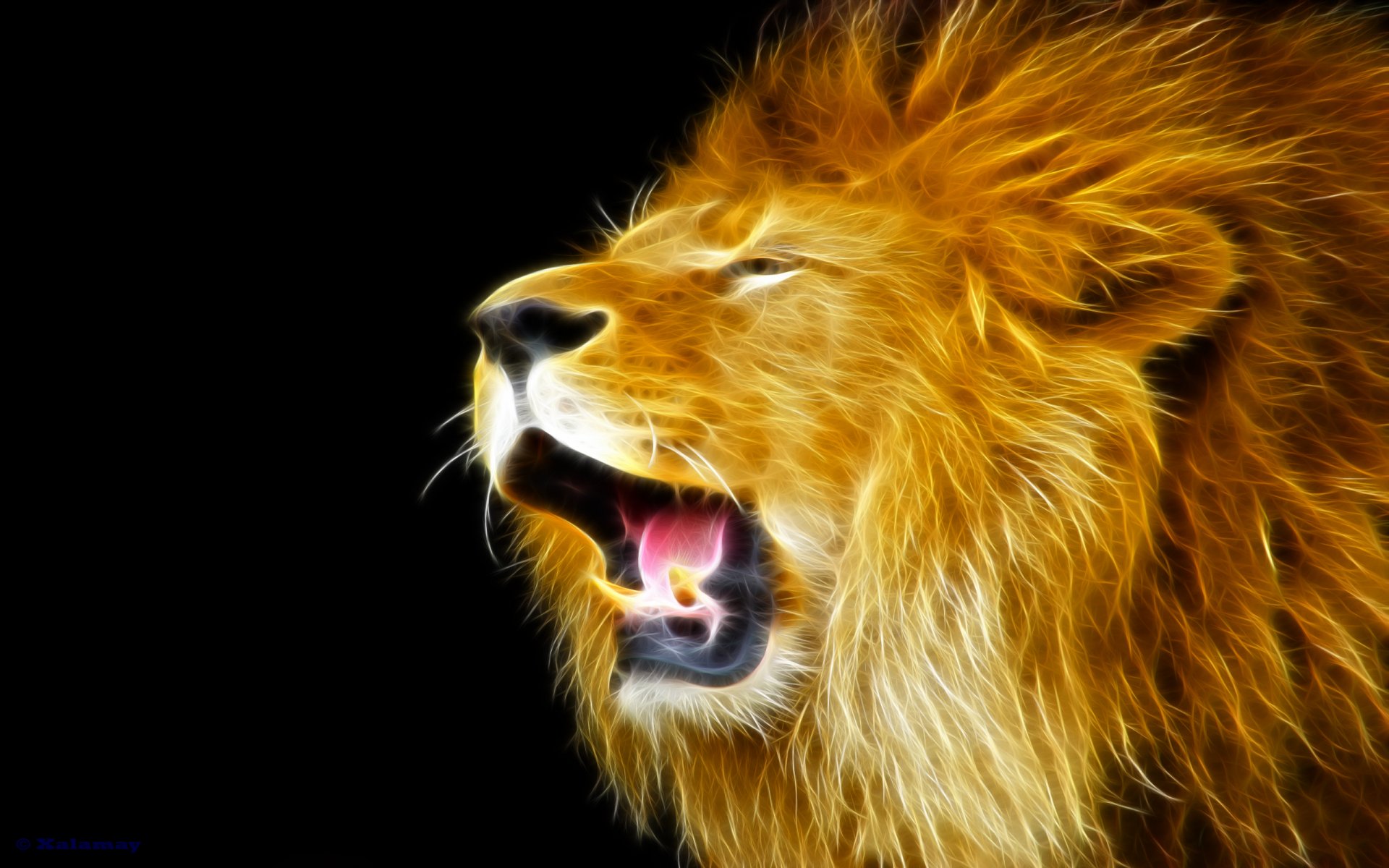 Lion Fond d'écran HD | Arrière-Plan | 2560x1600 | ID:353611 - Wallpaper