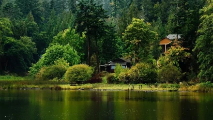 HD desktop wallpaper featuring a man-made cabin nestled among dense green trees beside a calm lake, surrounded by lush forest landscape.