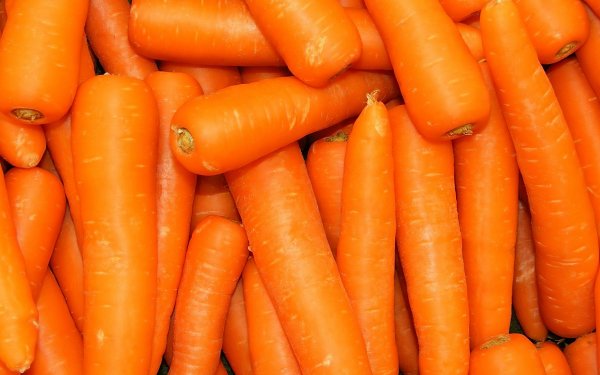 Food Carrot Vegetable orange HD Wallpaper | Background Image