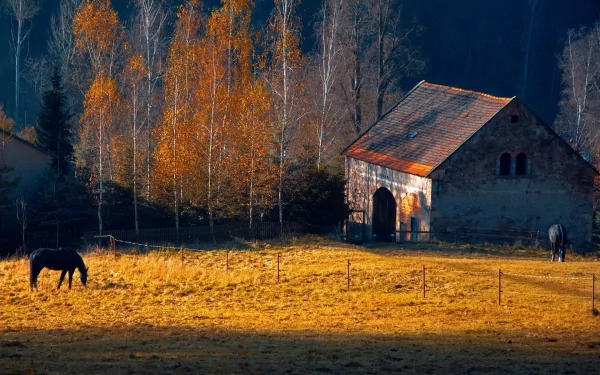 man made farm HD Desktop Wallpaper | Background Image