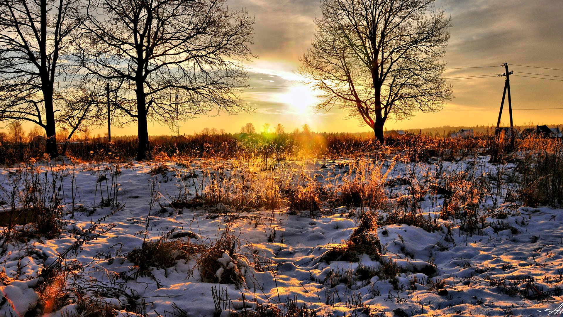 Download Nature Sunbeam HD Wallpaper