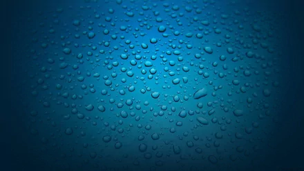 photography raindrops HD Desktop Wallpaper | Background Image
