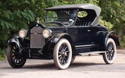 HD PC desktop wallpaper/background: 1924 Buick vintage black convertible vehicle parked by trees, whitewall tires and soft top.