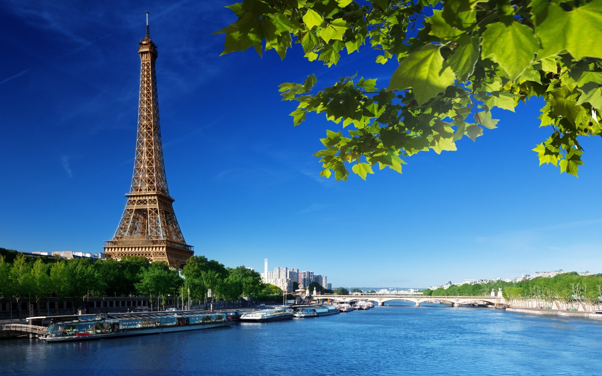 Download Paris Man Made Eiffel Tower  HD Wallpaper