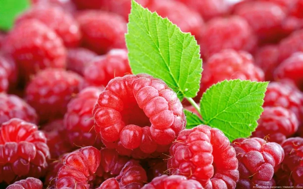 HD PC desktop wallpaper featuring a close-up of ripe, vibrant red raspberries with fresh green leaves, highlighting the natural texture and color of the fruit.