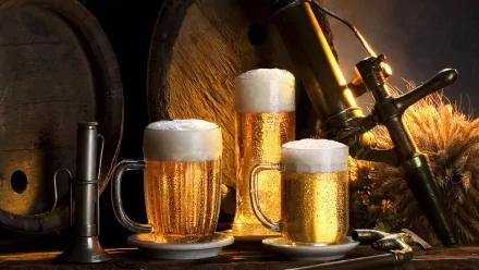 food beer HD Desktop Wallpaper | Background Image