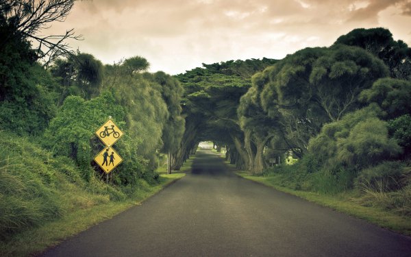 Man Made Road Sign Tunnel Tree Cloud Australia HD Wallpaper | Background Image