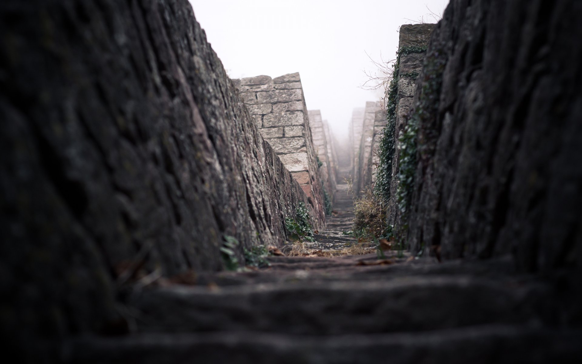 HD desktop wallpaper showing a narrow, foggy stone staircase framed by rough stone walls, creating a mysterious and atmospheric man-made scene.