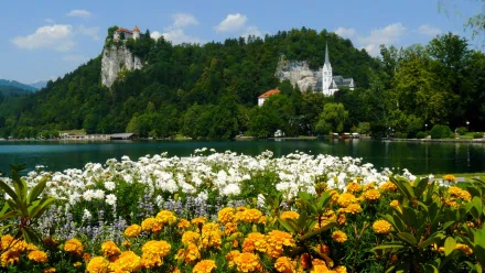 photography place HD Desktop Wallpaper | Background Image
