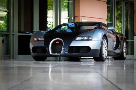 vehicle Bugatti Veyron HD Desktop Wallpaper | Background Image