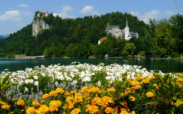photography place HD Desktop Wallpaper | Background Image