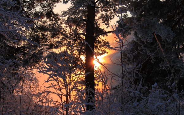 Earth Sunbeam HD Wallpaper | Background Image
