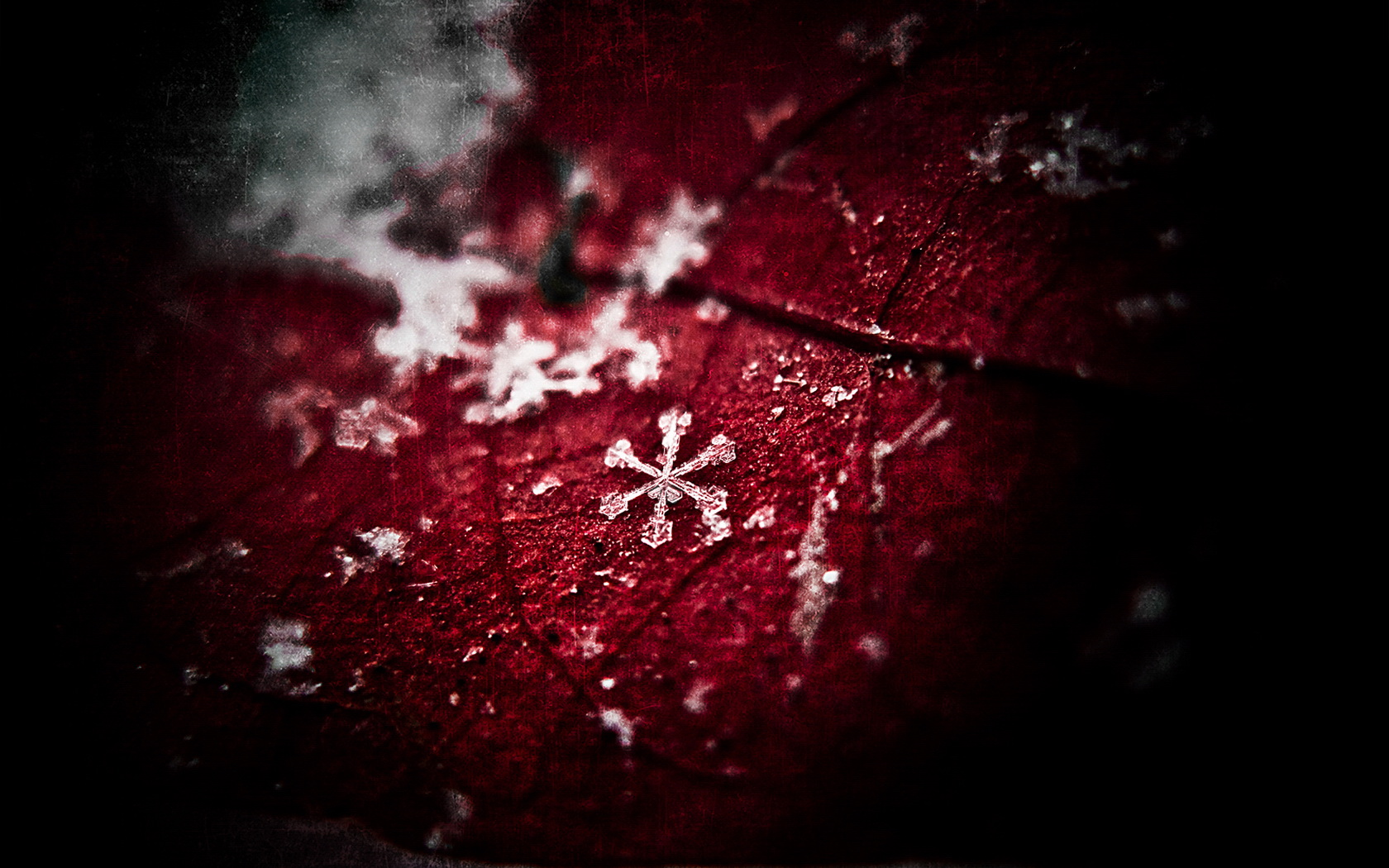 download-nature-snowflake-wallpaper