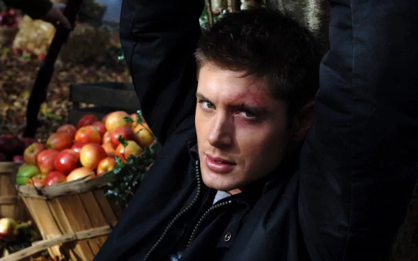 A striking HD desktop wallpaper featuring Jensen Ackles, capturing him in a dramatic pose with a backdrop of apples and autumn foliage.