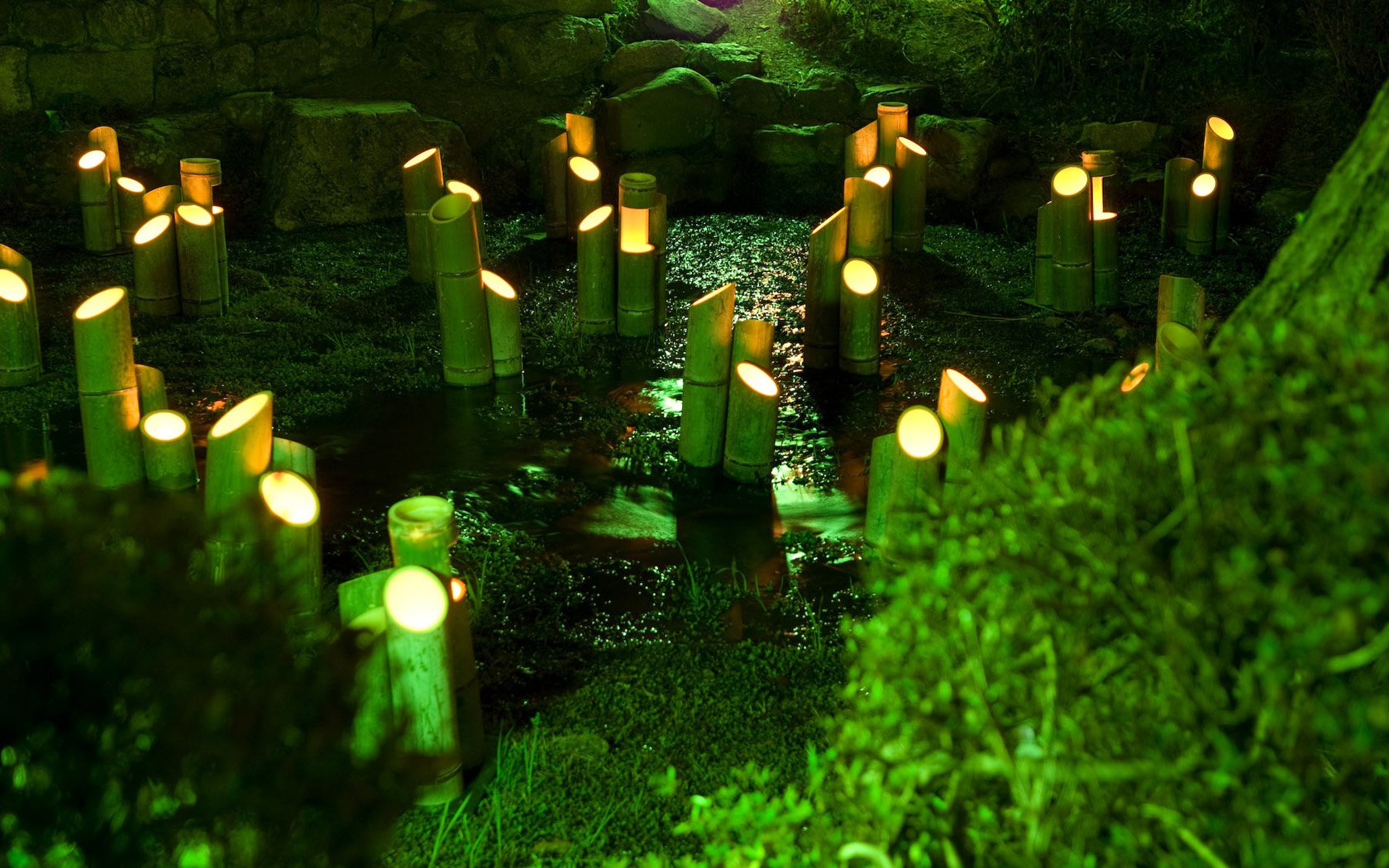 HD desktop wallpaper featuring glowing bamboo stalks illuminated in a serene, lush green natural setting.