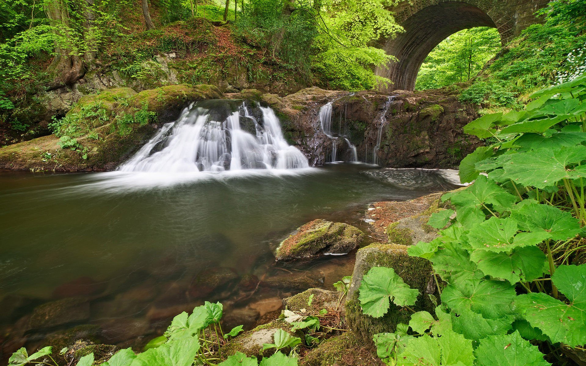 Nature Waterfall HD Wallpaper