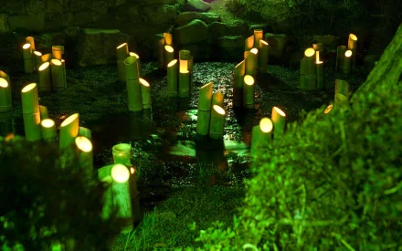 HD desktop wallpaper featuring glowing bamboo stalks illuminated in a serene, lush green natural setting.