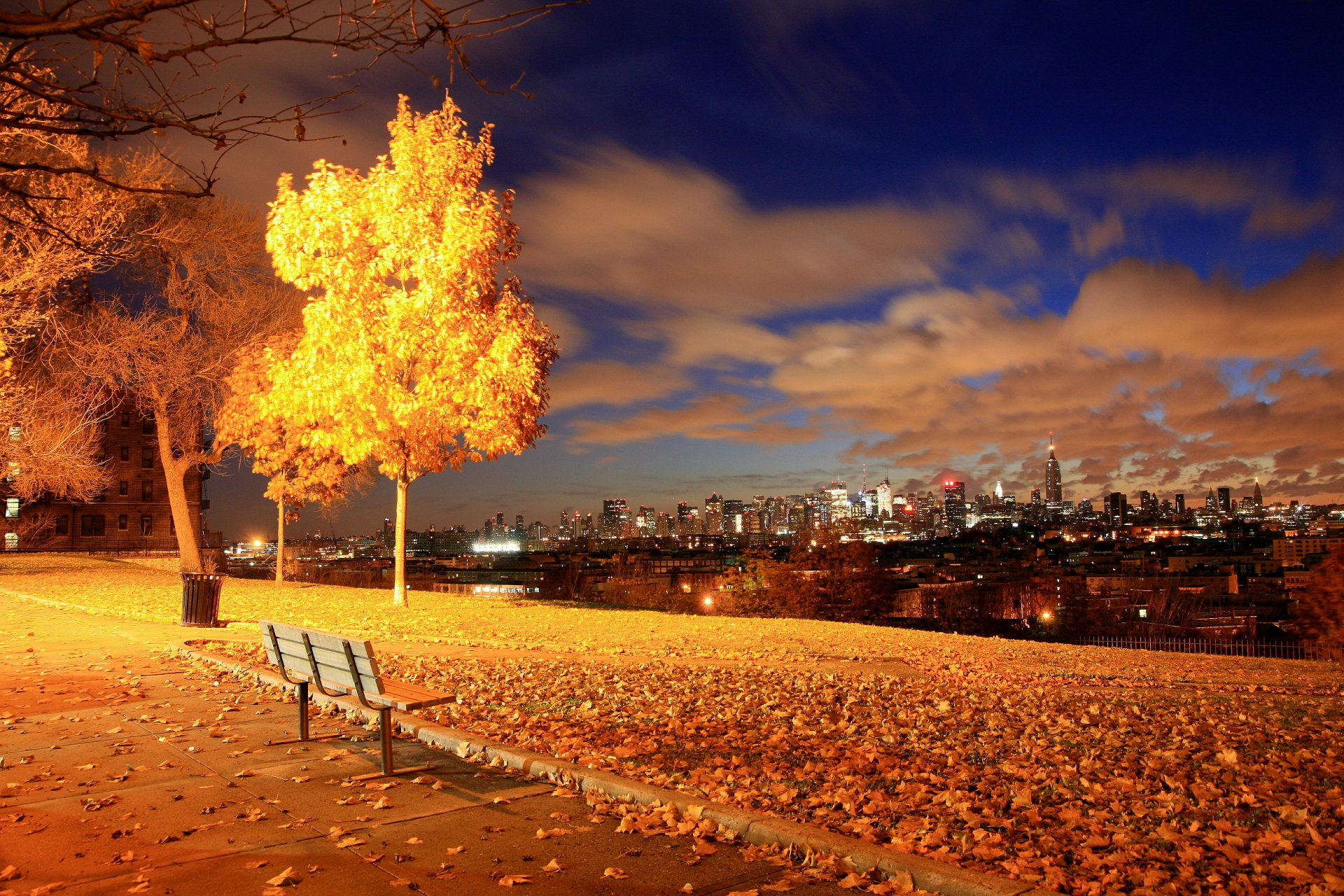 HD PC desktop wallpaper: autumn park bench beneath a glowing golden tree, fallen leaves overlooking New York's man-made skyline at twilight with city lights aglow.