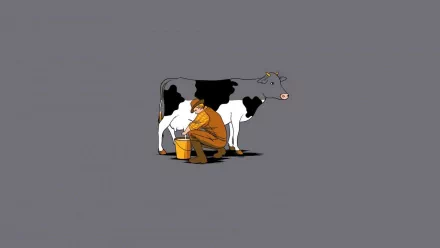 dairy cow Animal cow HD Desktop Wallpaper | Background Image