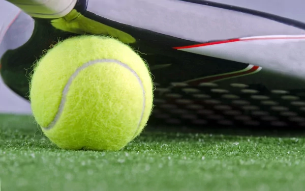 tennis Sports HD Desktop Wallpaper | Background Image