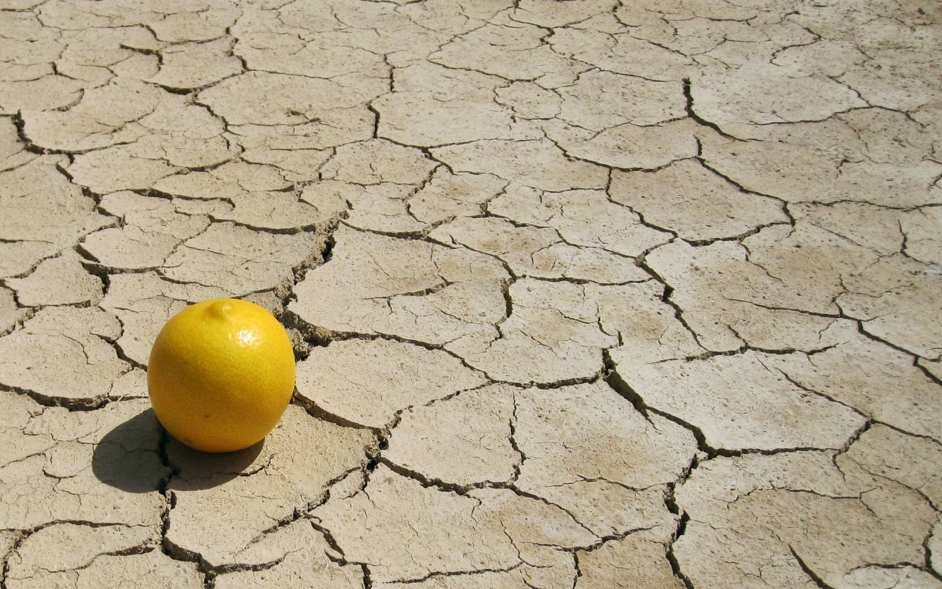 HD PC desktop wallpaper featuring a single lemon resting on cracked, dry earth, highlighting contrast between vibrant food and barren landscape.