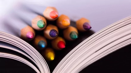 photography pencil HD Desktop Wallpaper | Background Image