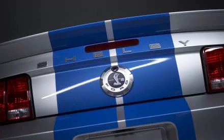 vehicle Ford Mustang Shelby Cobra GT 500 HD Desktop Wallpaper | Background Image