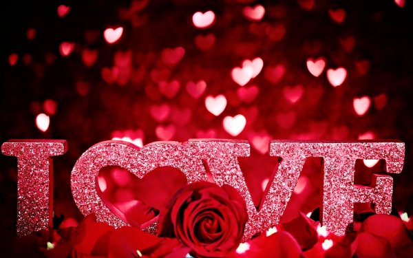 Holiday Valentine's Day Red Love HD Wallpaper | Background Image