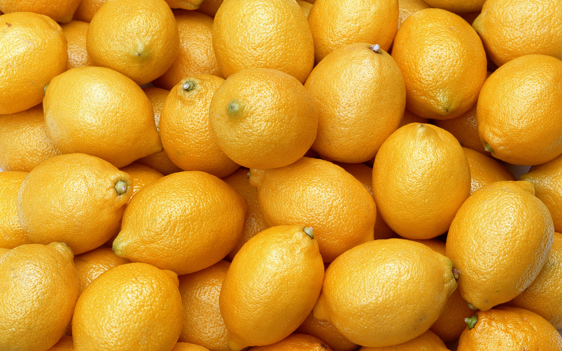 Zesty Lemon Delight HD Wallpaper