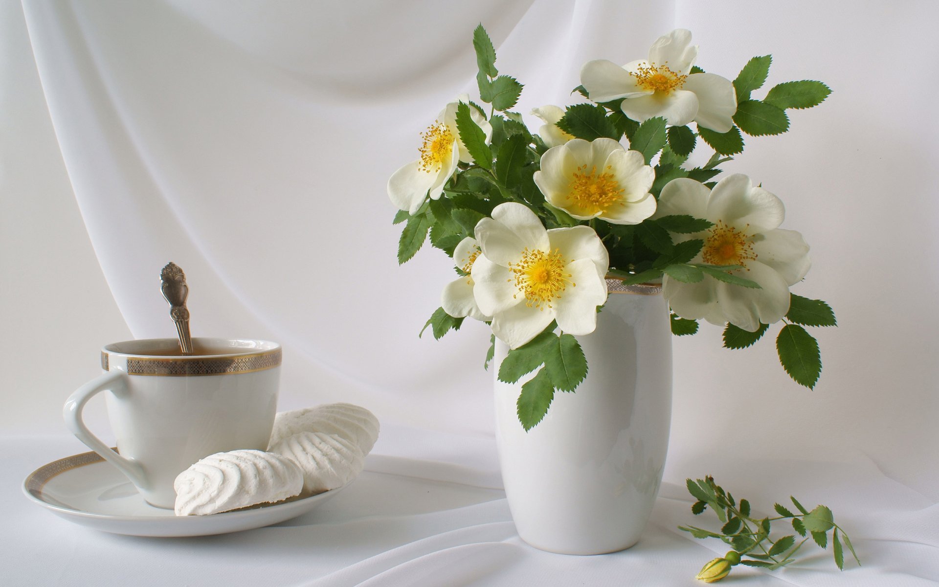 Serene Tea Moment with Delicate Sweets – HD Food & Tea Wallpaper