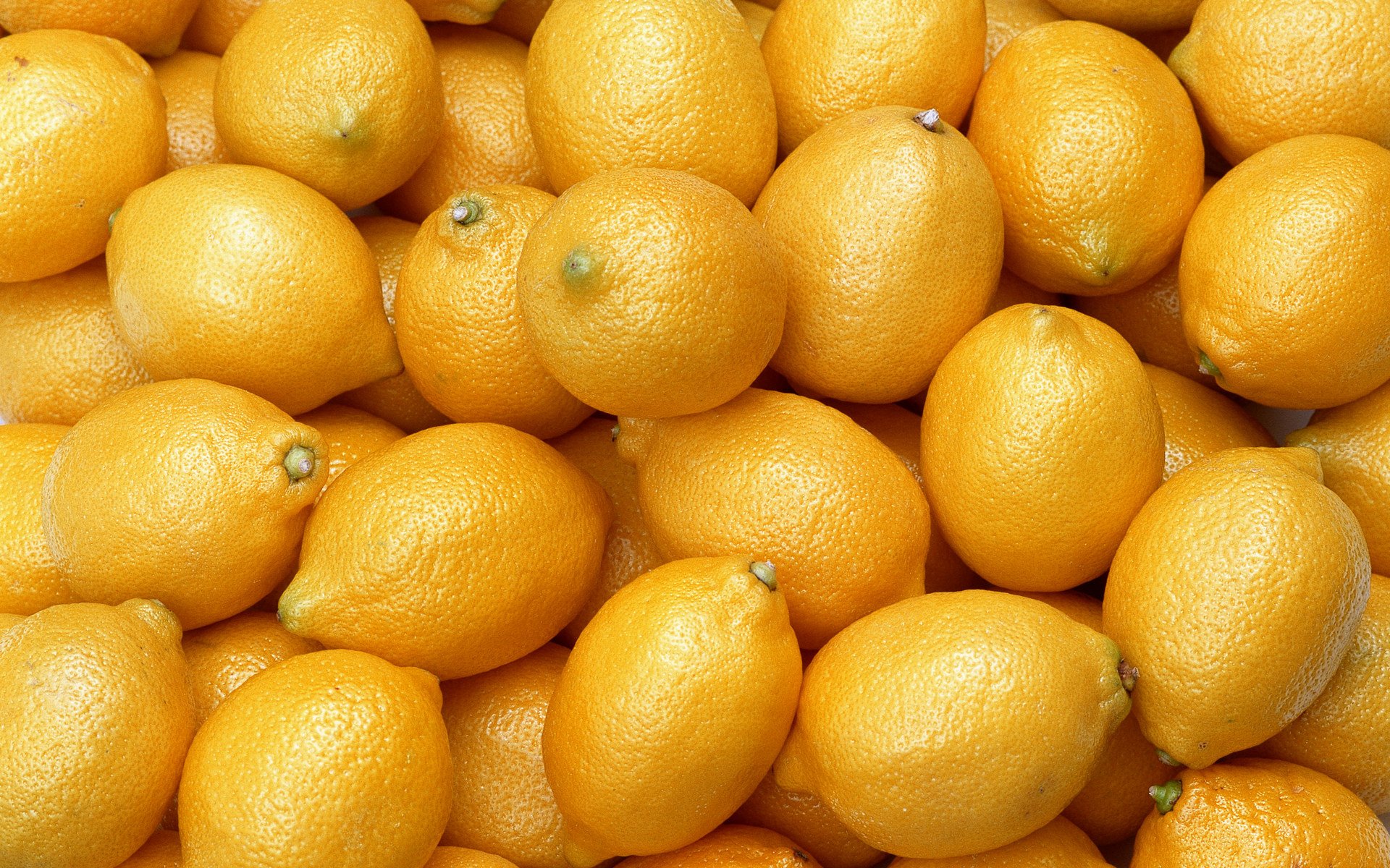 Lemon Full HD Wallpaper and Background Image | 1920x1200 | ID:367384