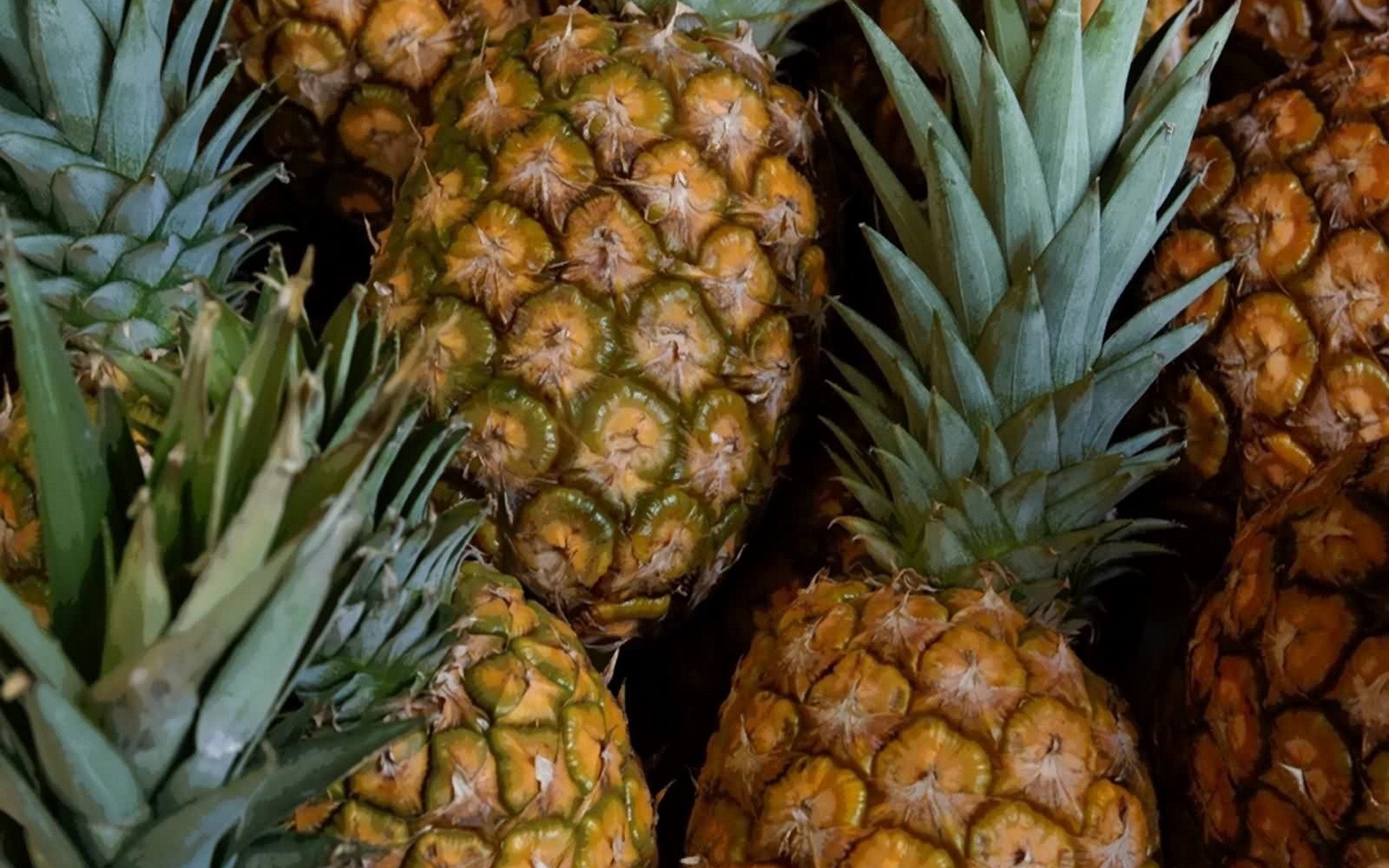 Download Food Pineapple HD Wallpaper