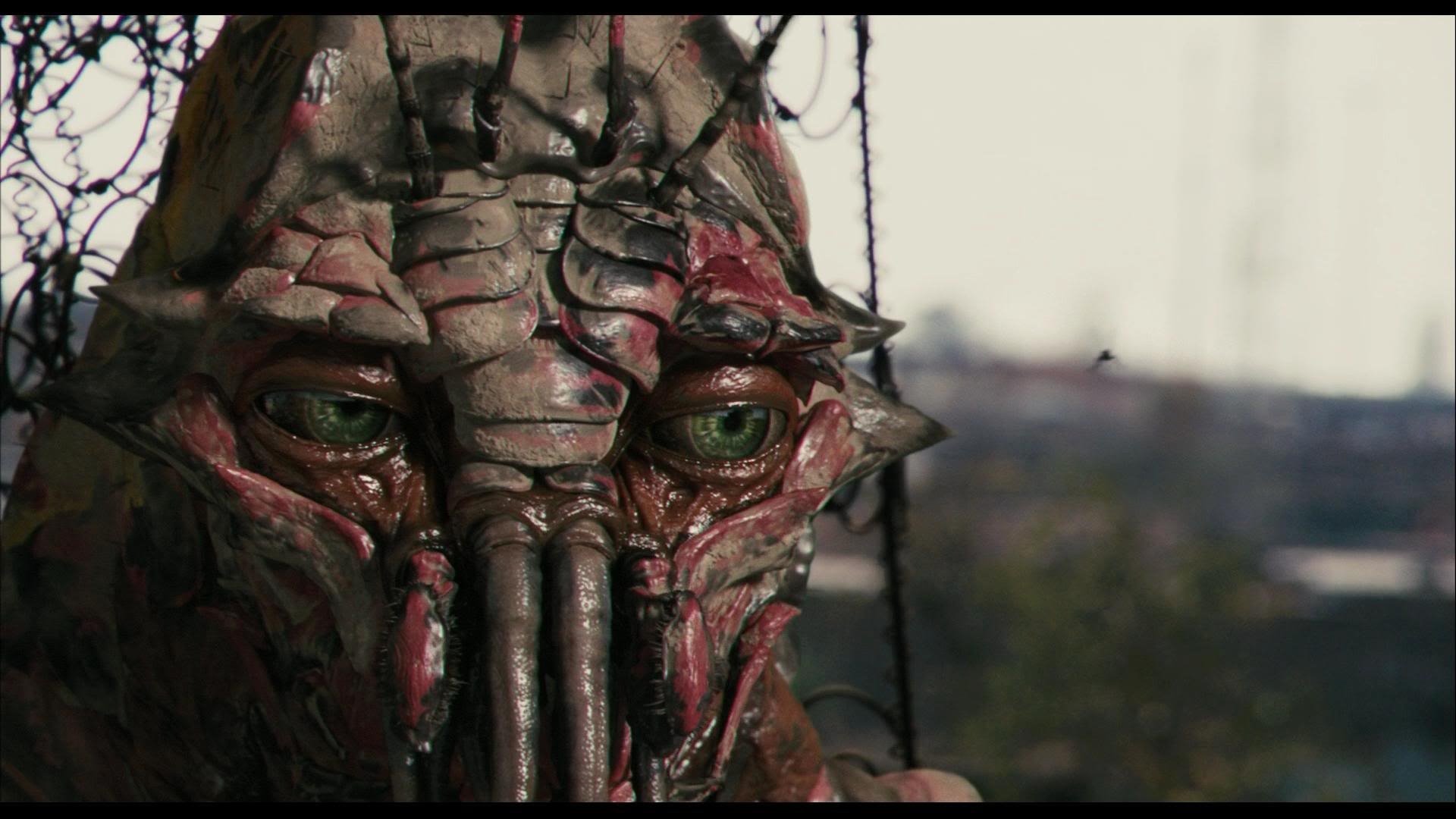 Download Movie District 9 HD Wallpaper