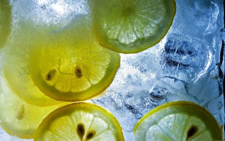 food lemon HD Desktop Wallpaper | Background Image