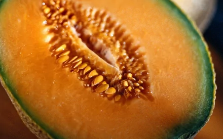 HD desktop wallpaper featuring a close-up of a ripe cantaloupe melon with vibrant orange flesh and seeds at the center.