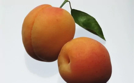 HD PC desktop wallpaper featuring two ripe peaches with a green leaf against a clean white background.