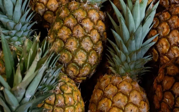 food pineapple HD Desktop Wallpaper | Background Image