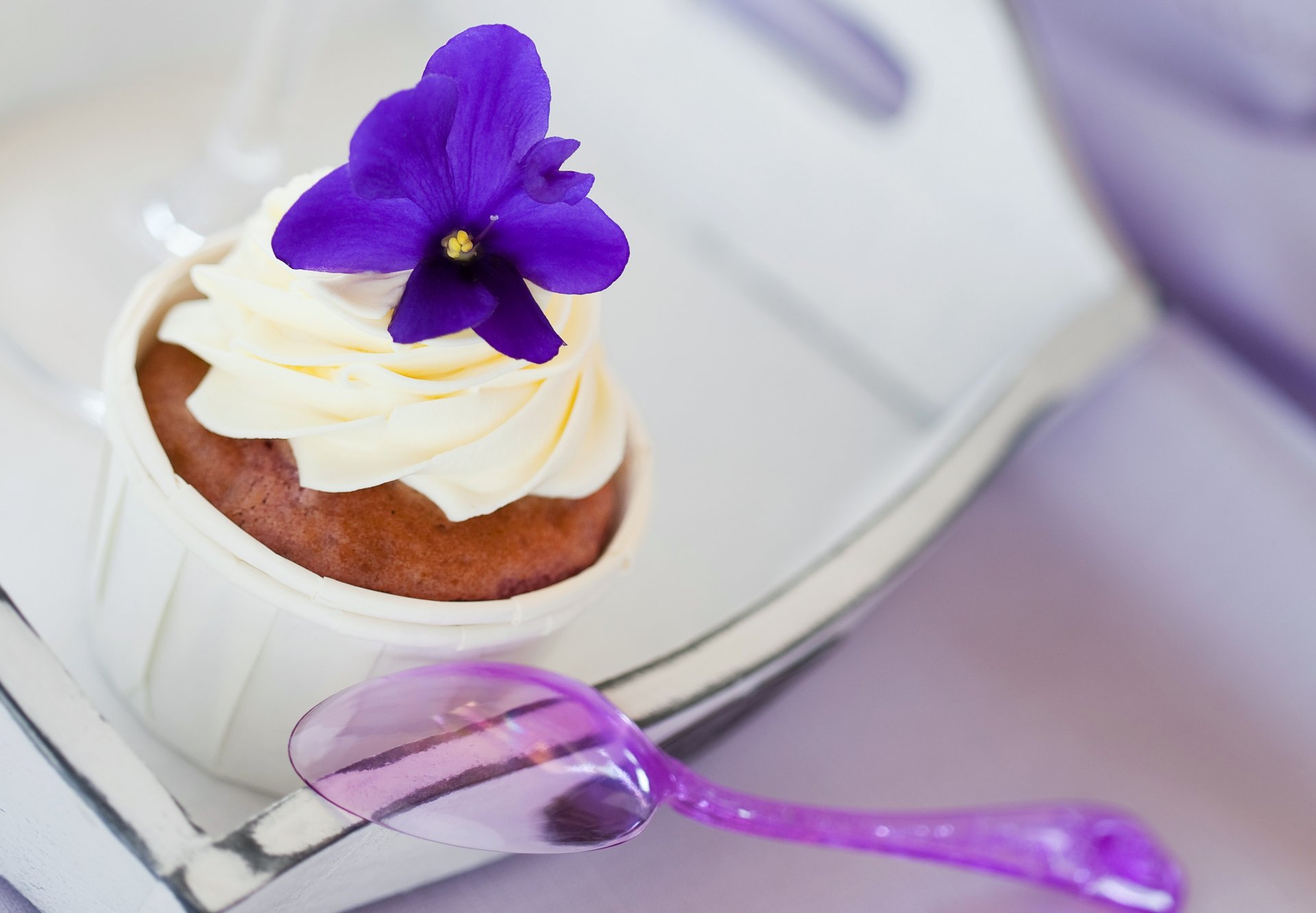2K Quad HD PC desktop wallpaper of a food cupcake: close-up of a frosted cupcake topped with a purple flower beside a translucent purple spoon.