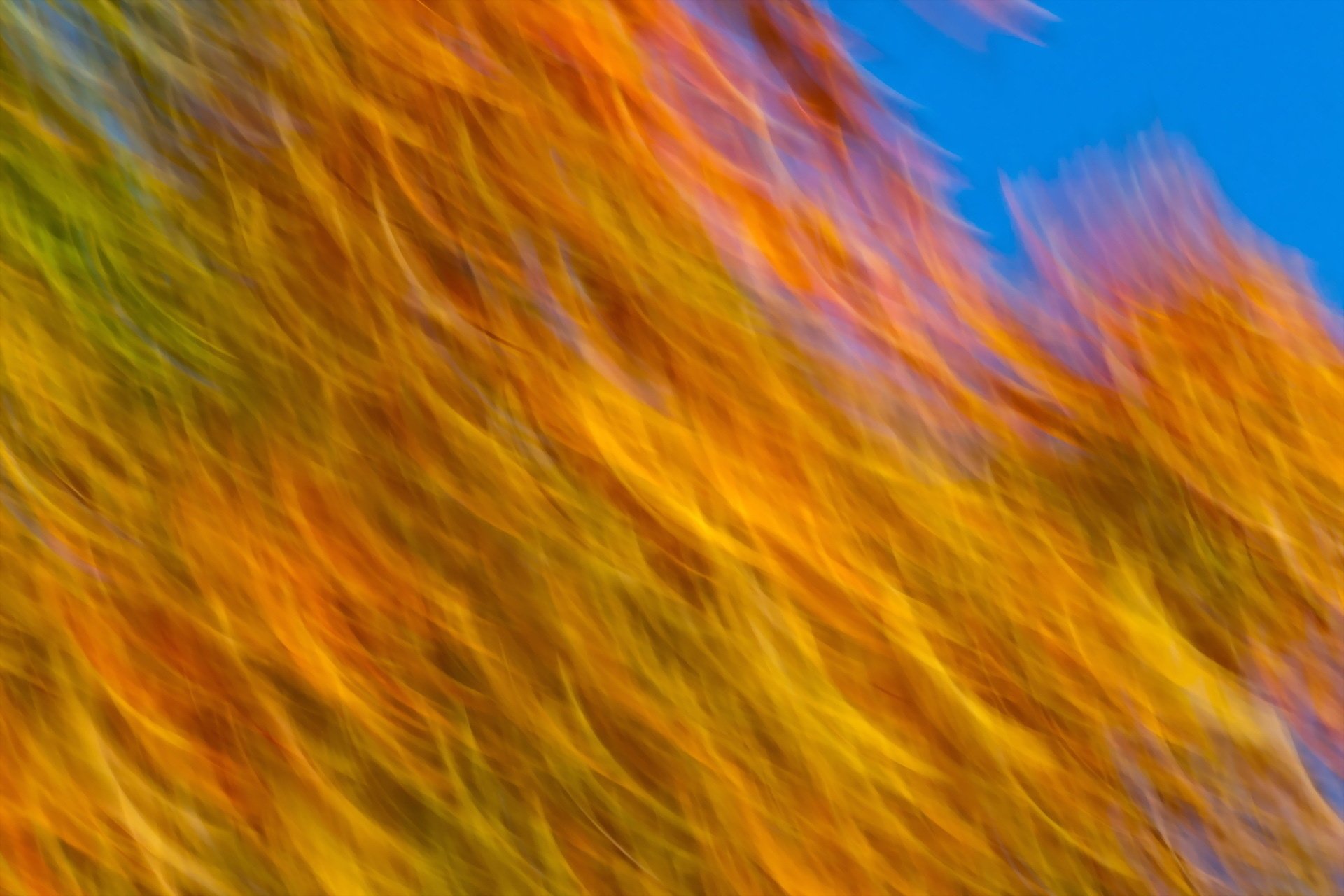 CGI 3D psychedelic abstract HD PC desktop wallpaper: sweeping orange and yellow wave-like forms over vivid blue, rich saturated colors and flowing motion-blur textures.