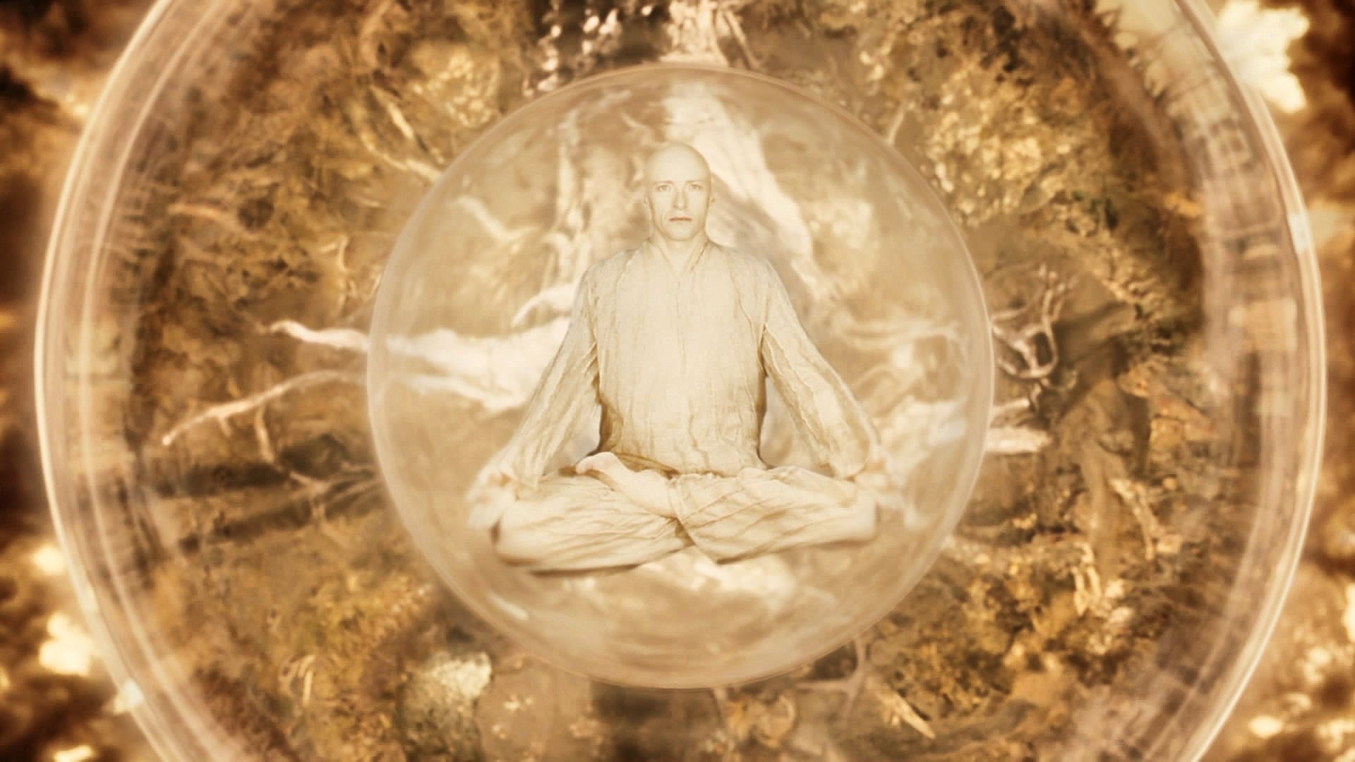 Download Movie The Fountain HD Wallpaper