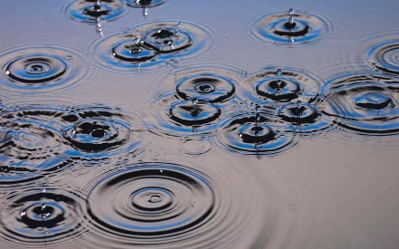 A serene HD photograph showcasing raindrops creating ripples in water, making a calming backdrop for PC desktops or wallpapers.