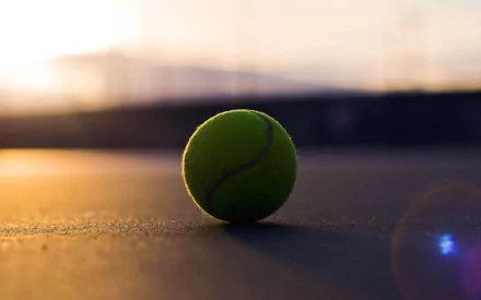 tennis Sports HD Desktop Wallpaper | Background Image