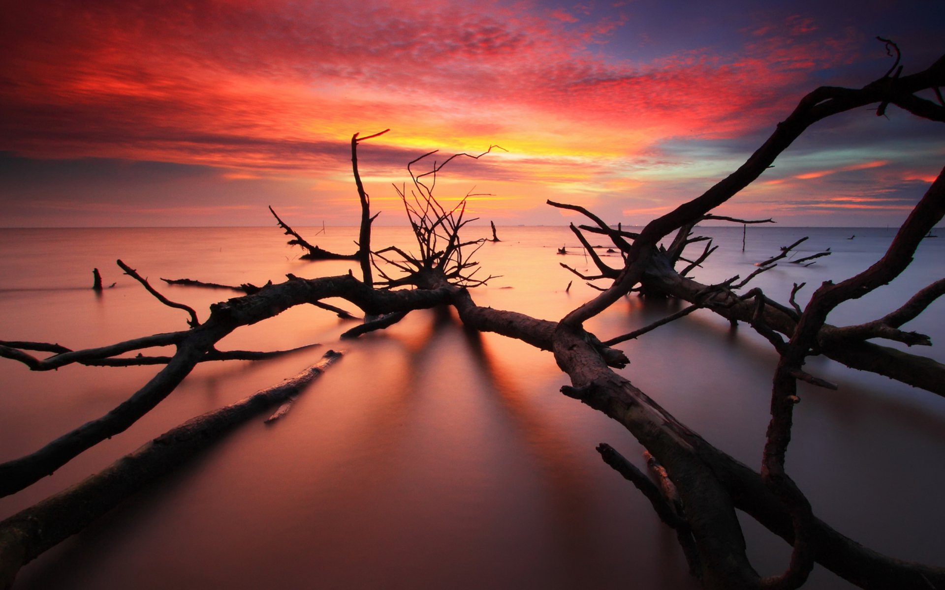 Download Nature Sunset HD Wallpaper | 2560x1600 | Wallpaper Abyss
