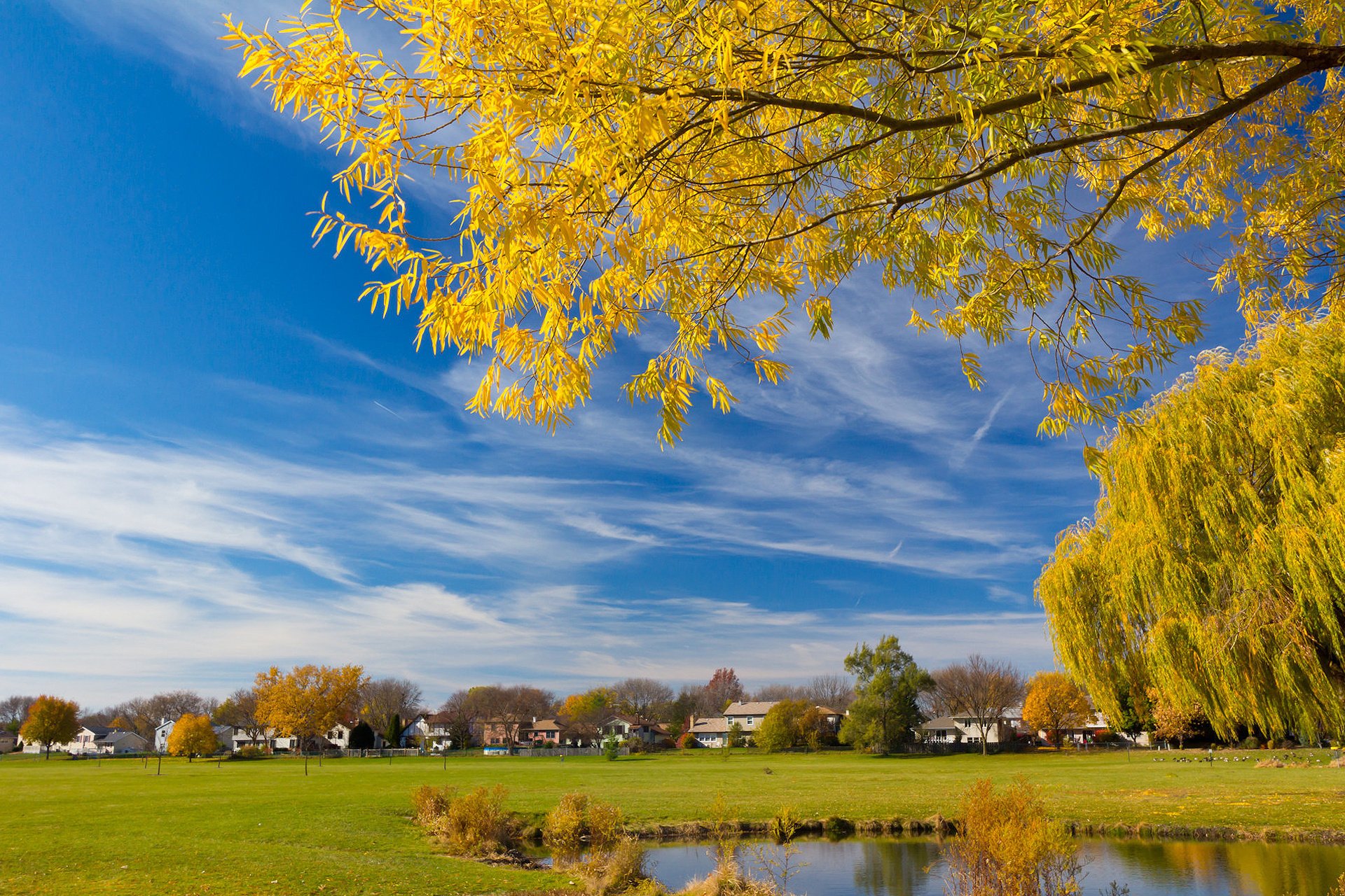 A vibrant landscape featuring golden autumn trees, a clear blue sky, and a tranquil pond, serving as a stunning HD PC desktop wallpaper and background.