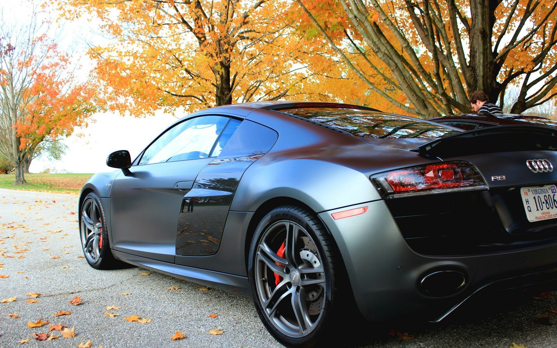 Matte gray Audi R8 parked beneath autumn trees, low-angle view with fallen leaves — HD PC desktop wallpaper and background.