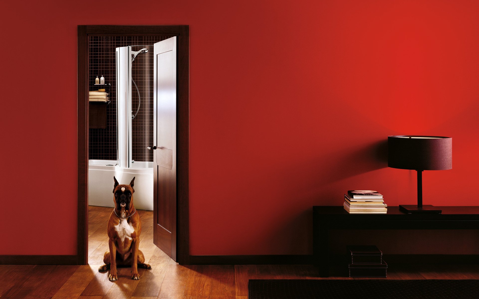 HD desktop wallpaper featuring a boxer dog sitting attentively in a doorway, framed by a bold red wall and minimalist interior design.